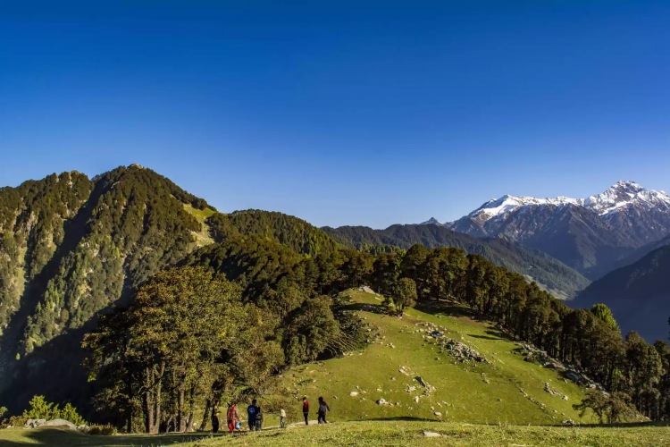 Paragliding in Bir Billing